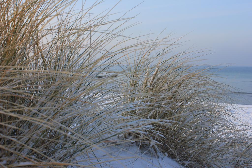 Appartmentanlage Zur Duene Insel Poel Camera foto